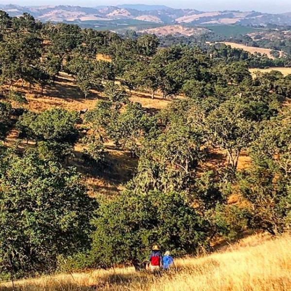 Windwood Ranch Paso Robles Villa Eksteriør billede